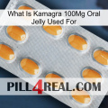 What Is Kamagra 100Mg Oral Jelly Used For cialis3